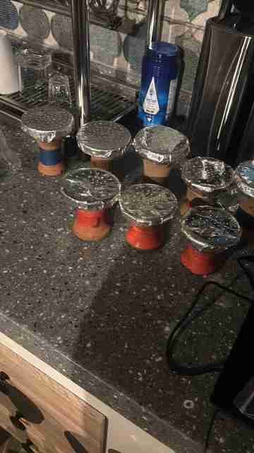 تأجير شيش فاخرة